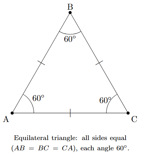 An equilateral triangle with tick marks on all three sides indicating they are equal in length. All angles are marked as 60 degrees.